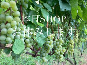 本日SHOPお休みします。