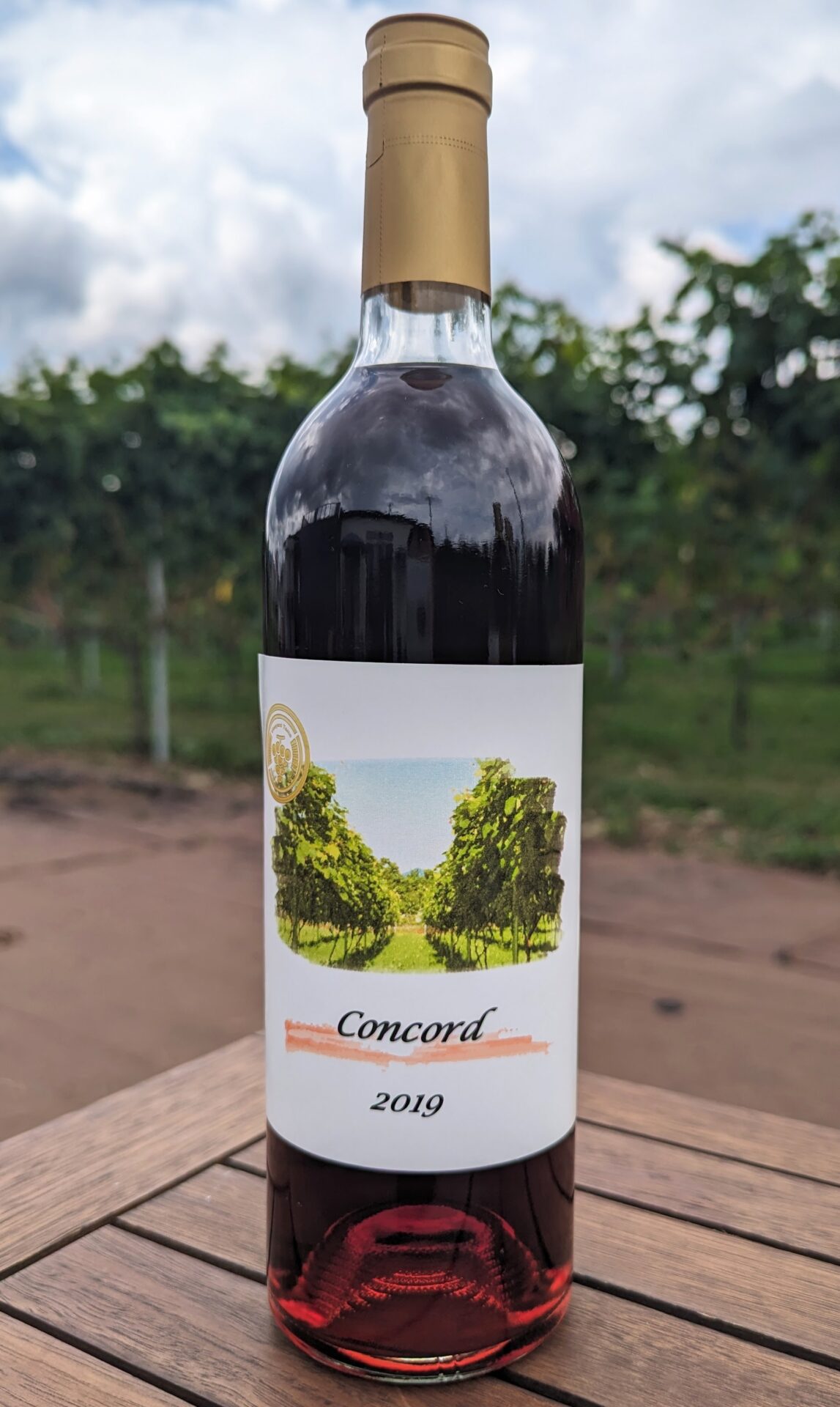 コンコード [2019] - 株式会社ヴィンヤード多摩公式サイト－東京都