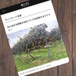 ‐ヒトサラMAGAZINE-2025.01.22 旅グルメ