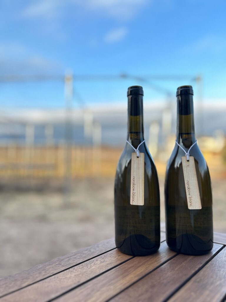 norabow blanc(のらぼう白)再発売のお知らせ🍷