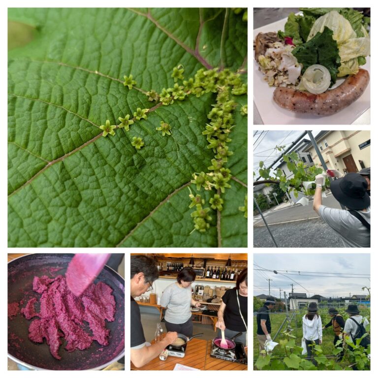 傘かけandワインソルトづくりイベント終了