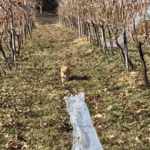 年末年始のお知らせ