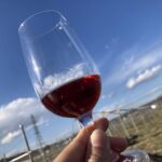 〈ワイン好き〉　🍷あつまれ～🍷