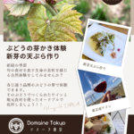 ぶどうの芽かき体験・新芽の天ぷら作り🍇