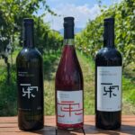 <span class="title">東京シリーズ新ヴィンテージ発売開始のお知らせ</span>